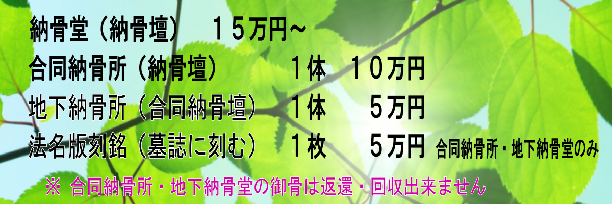 PC用画像